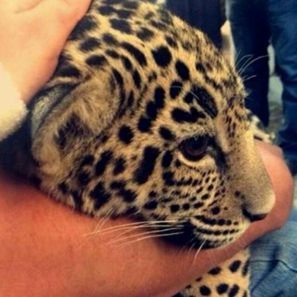 Meet your Posher, David - Picture 1 of 8